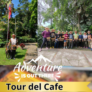 TOUR DEL CAFÉ