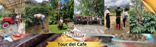 TOUR DEL CAFÉ