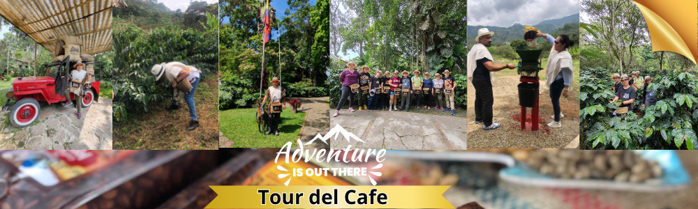 TOUR DEL CAFÉ